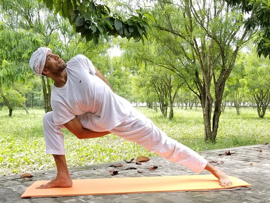 chair yoga for seniors beginners