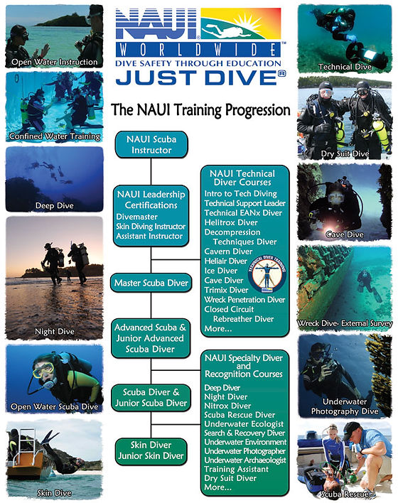 scuba diving certification
