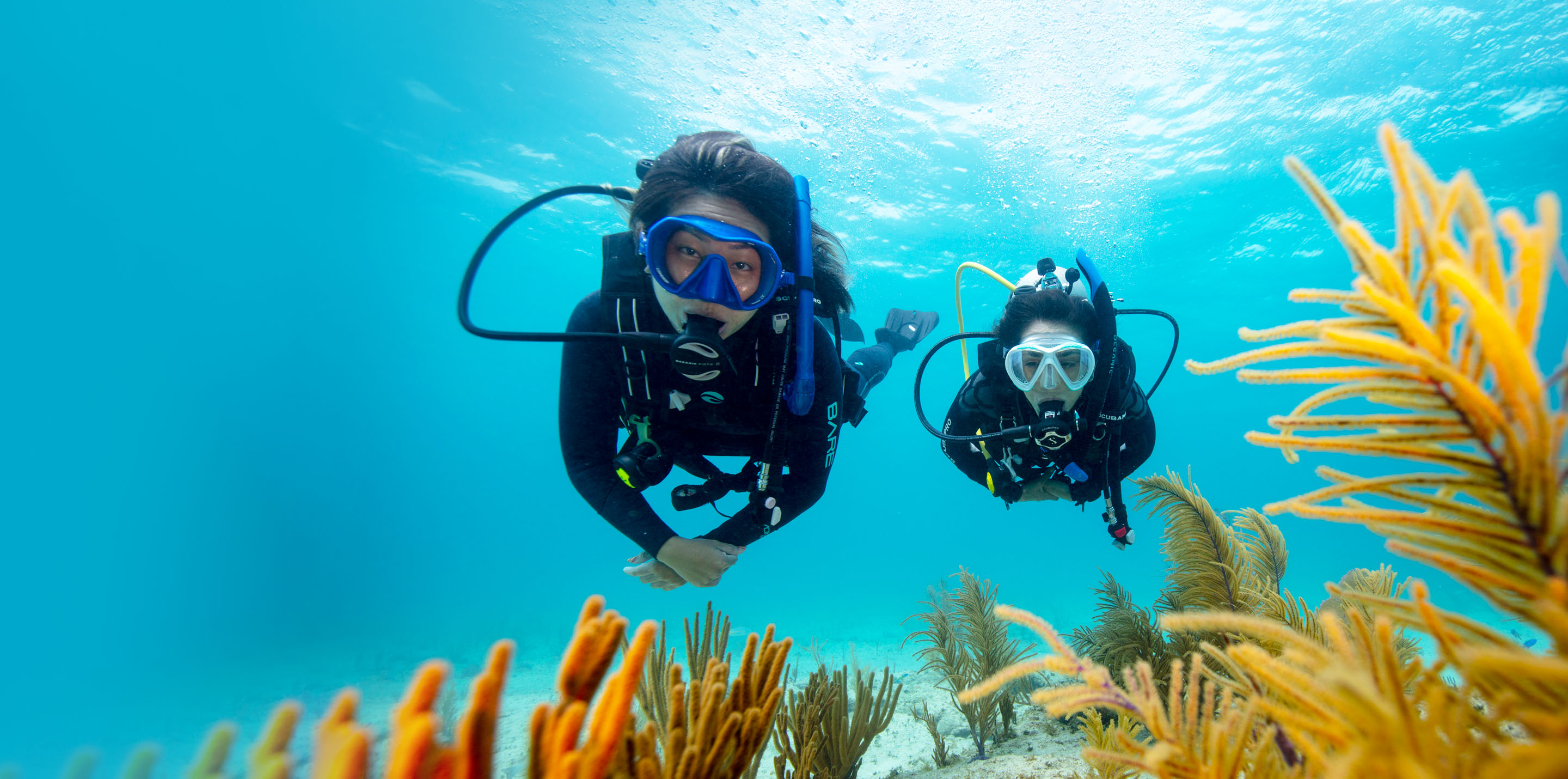 scuba diving certifications