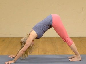 yoga for beginners seniors