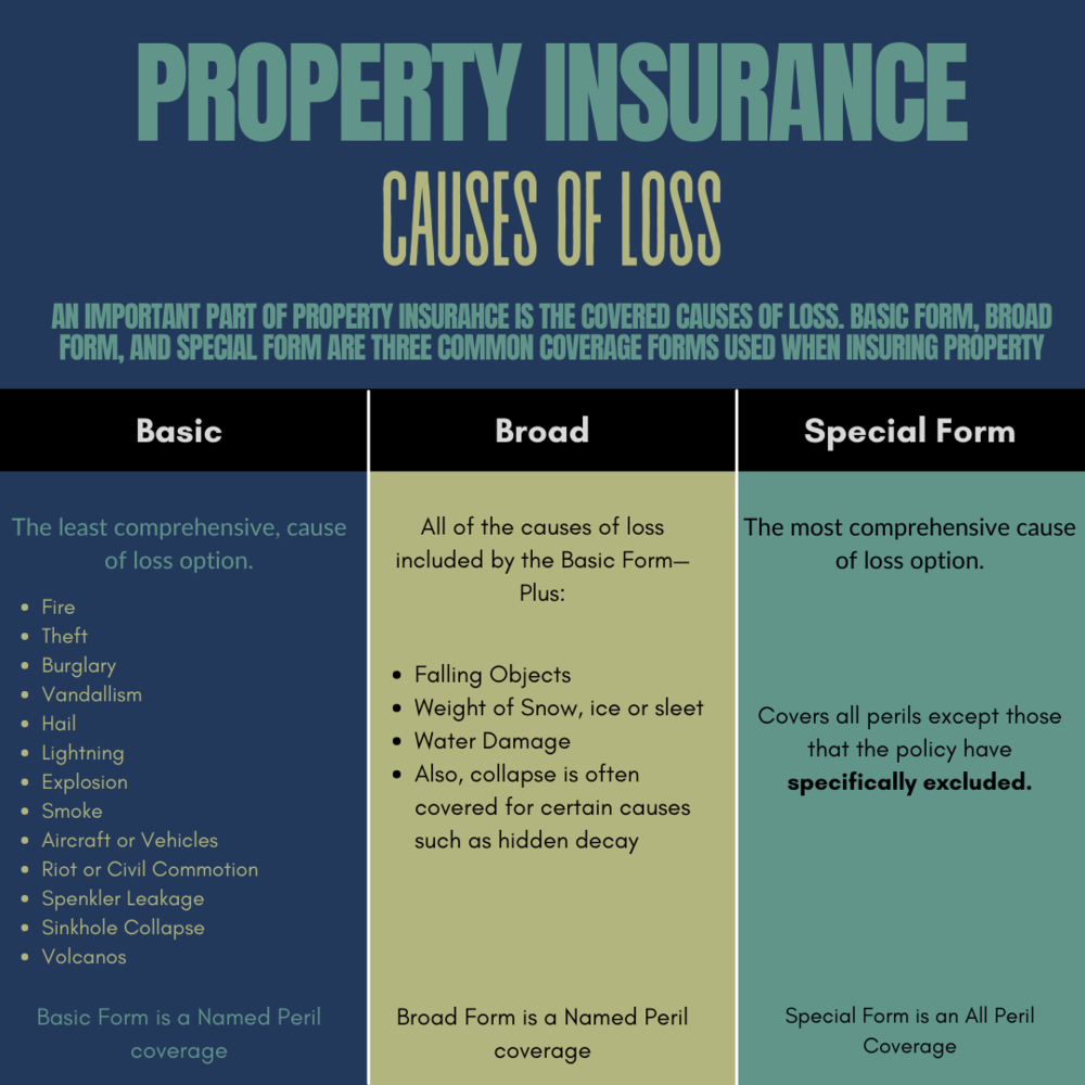 insurance for pets