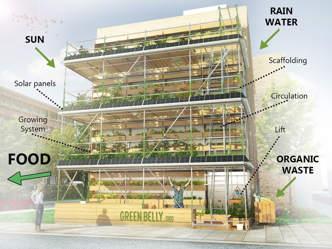 Indoor Horticulture Design- How to Choose the Right Pot for Your Indoor Garden
