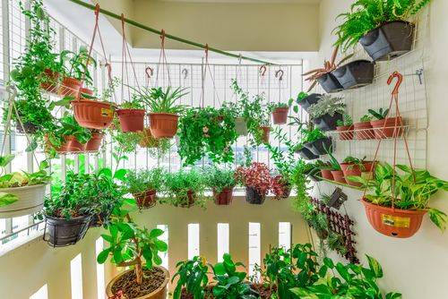 Attractive Greenhouse with Seating Area
