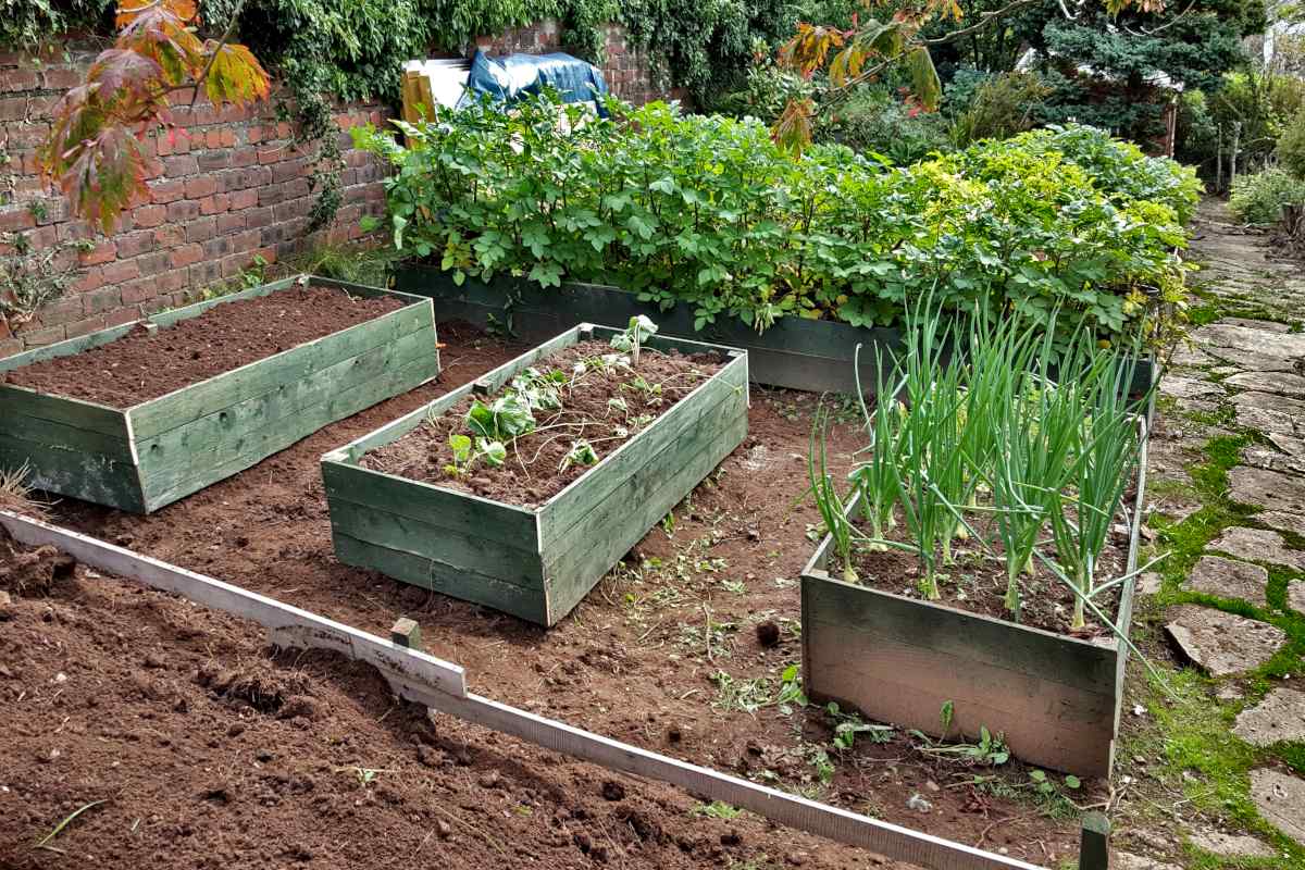 How to make a small-sized square garden look larger
