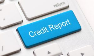 rose credit repair