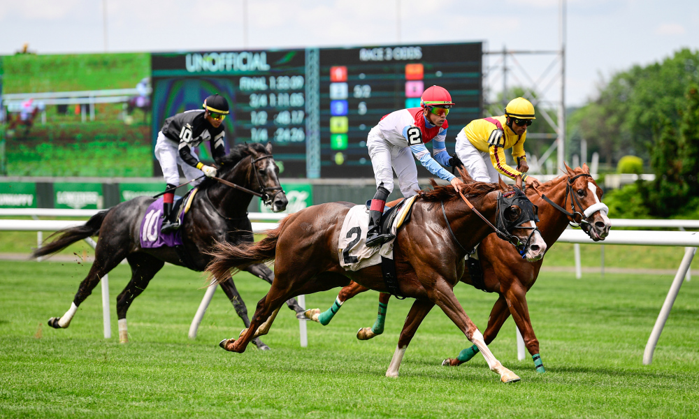 horse racing online betting
